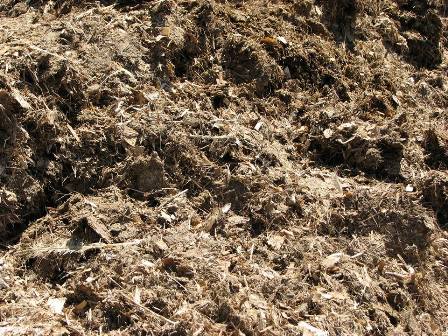 poultry manure