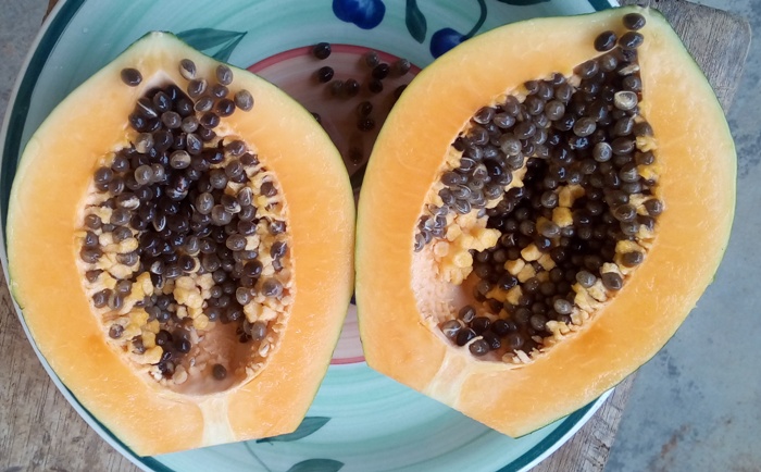 pawpaw for organic dewormer