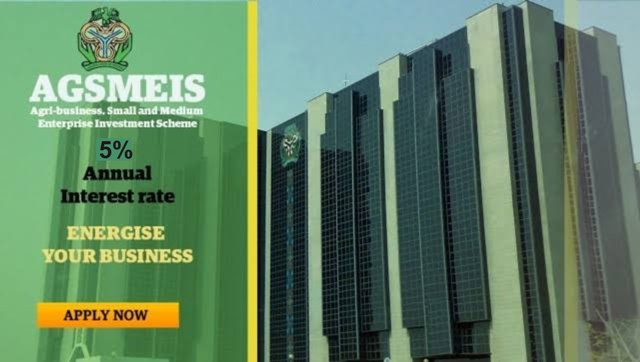 CBN AGSMEIS Loan