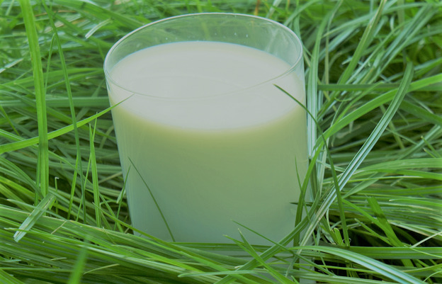 Grass Fed Raw Milk