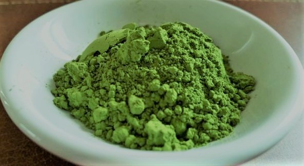 kidney stone medicinal plant