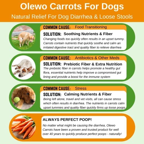 are carrots good for dogs with diarrhea