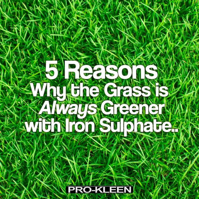 Best Time To Put Iron On Lawn Justagric