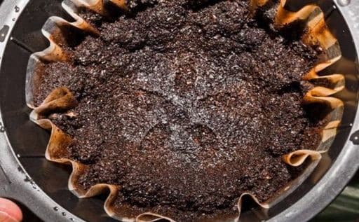 Coffee Grounds
