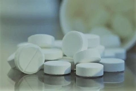 Amoxicillin For Dogs