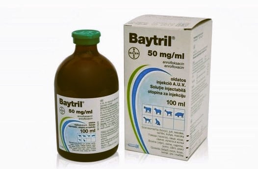 Baytril For Rabbits