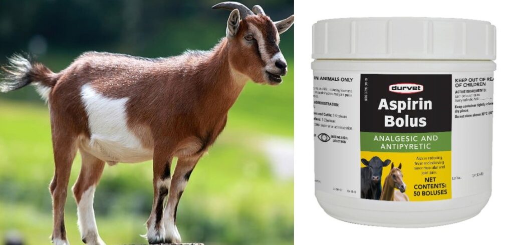 Aspirin For Goats