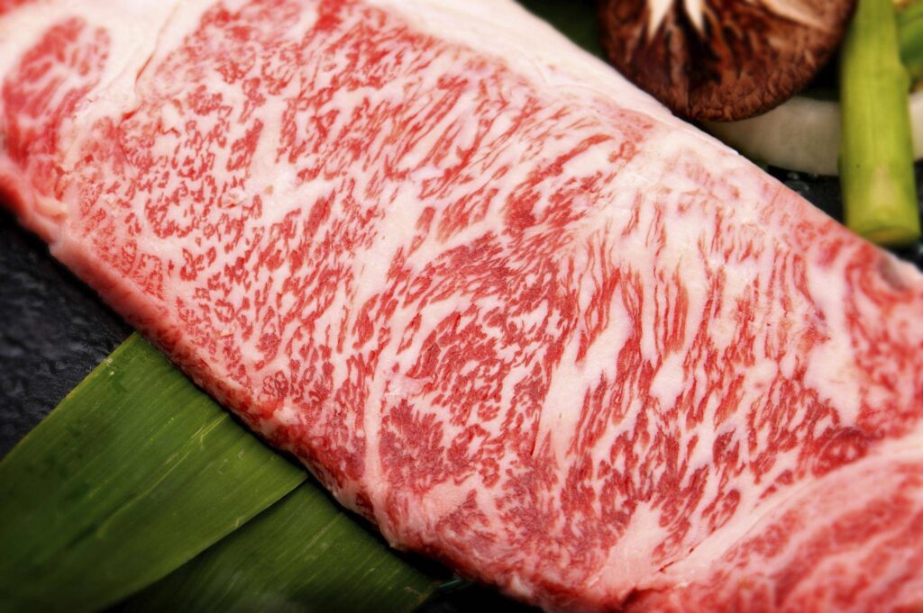 Wagyu Cows meat