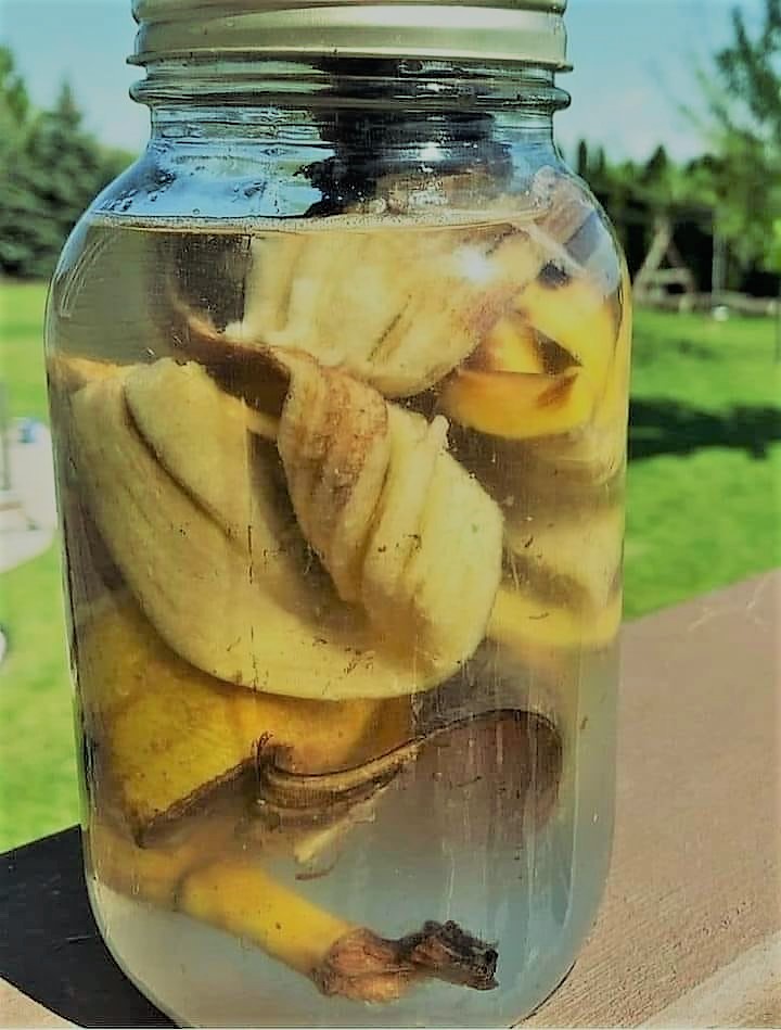 liquid banana fertilizer