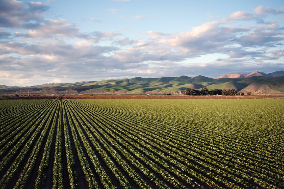 sustainable farming
