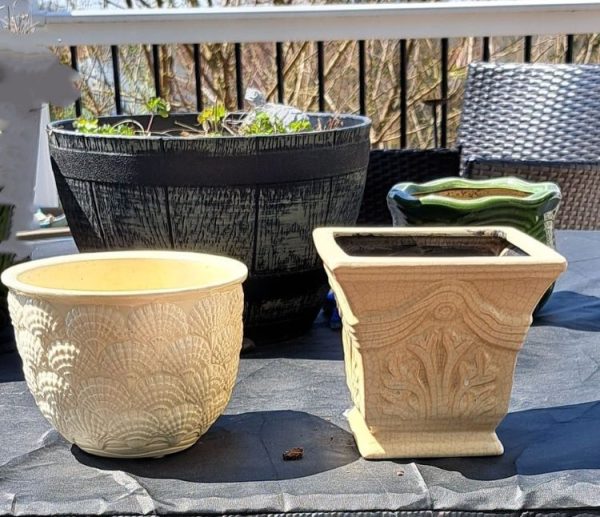 3 Major Importance of Drainage Holes in Planting Pots Justagric