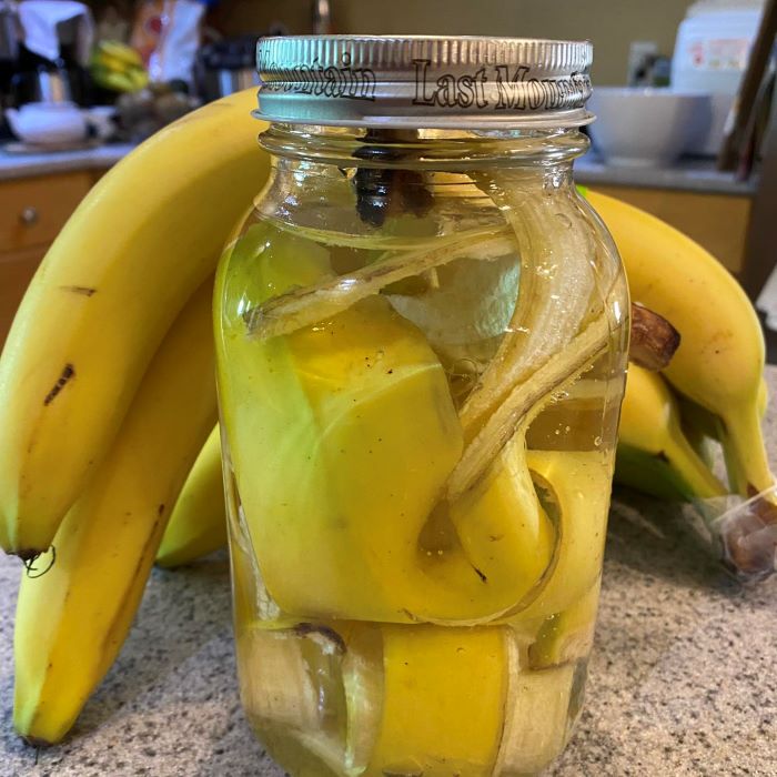 Banana Peel Liquid Fertilizer