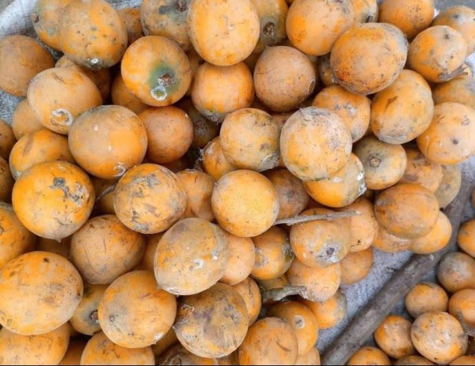 agbalumo fruits