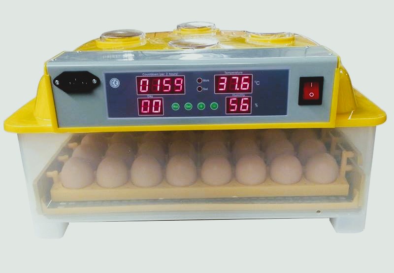 duck incubator