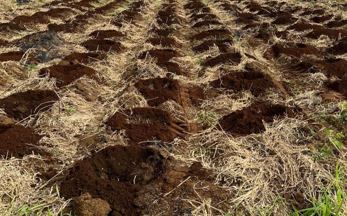 land preparation methods